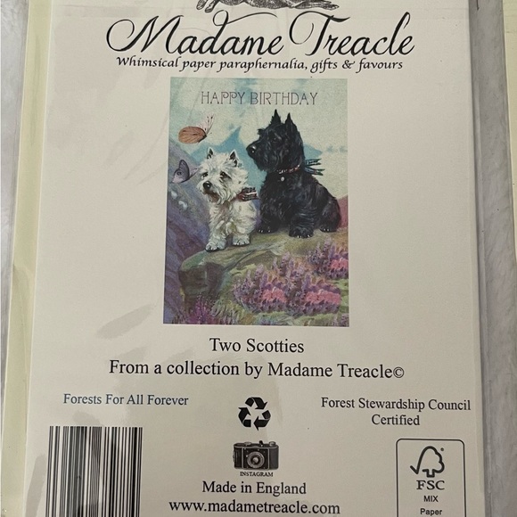 2 New Madame Treacle Vintage Greeting Cards Gladioli and Two Scotties New - Picture 7 of 8